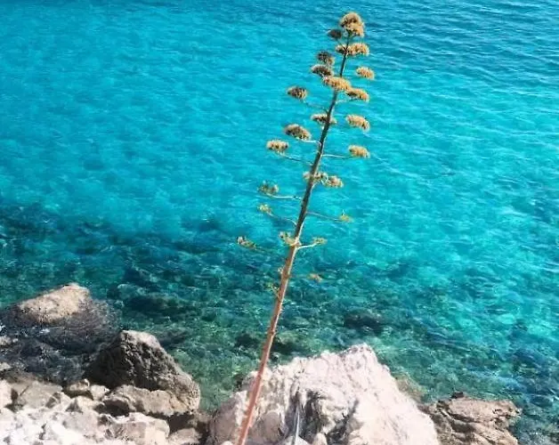 Διαμέρισμα Sunwave